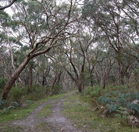Pink Line and Loop Trail - Mountain Biking