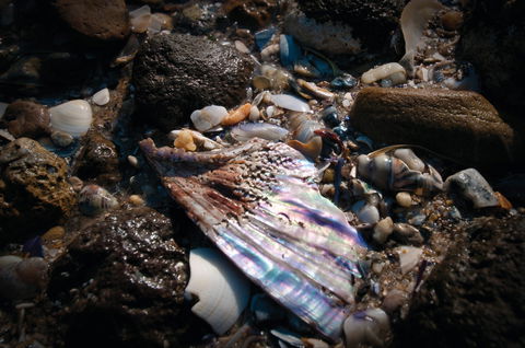 Point Cook Marine Sanctuary - Accommodation Fremantle 1