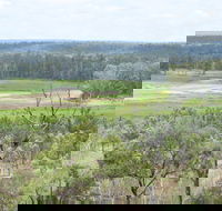 Princess Hills Girringun National Park - Accommodation Fremantle