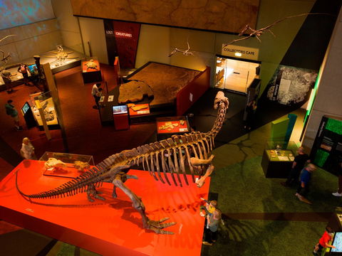 Queensland Museum - Accommodation Fremantle 2