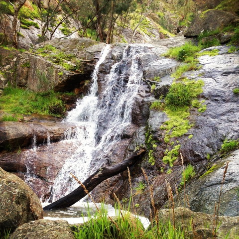 Salisbury Falls Walk - Accommodation Fremantle 1