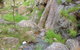 Salisbury Falls Walk - thumb 2