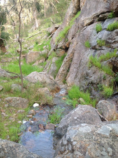 Salisbury Falls Walk - Accommodation Fremantle 2