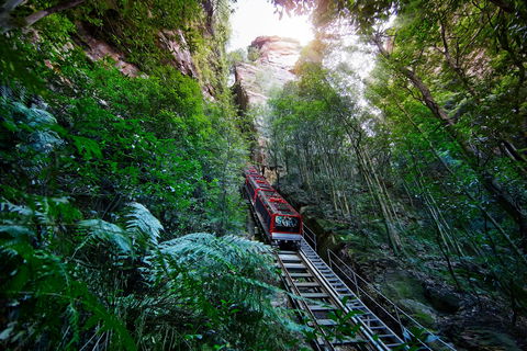 Scenic World Blue Mountains - Accommodation Fremantle 0