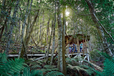 Scenic World Blue Mountains - Accommodation Fremantle 2