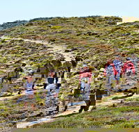 The Sole Walk at Hillocks Drive - Accommodation Fremantle