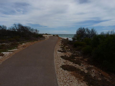 Turquoise Way Trail, Jurien Bay - Accommodation Fremantle 0