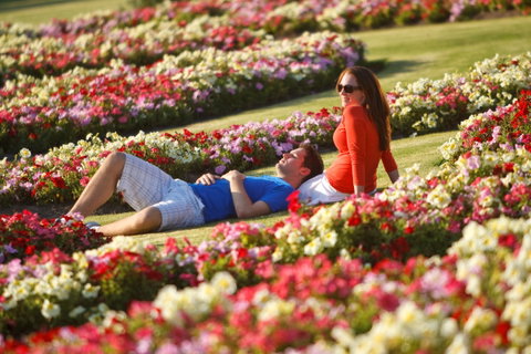 Victoria State Rose Garden At Werribee Park - Accommodation Fremantle 1