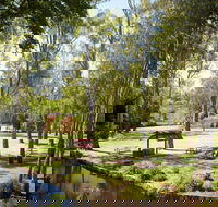 Wangaratta's Significant Trees Walks - Accommodation Fremantle
