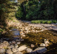 Wilson River picnic area - Accommodation Fremantle
