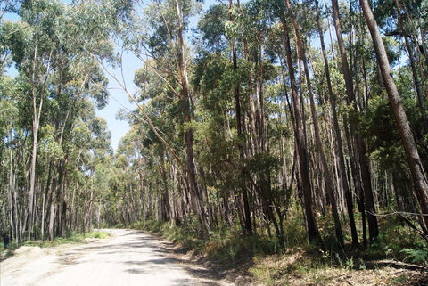 Alfred National Park - Accommodation Fremantle 2