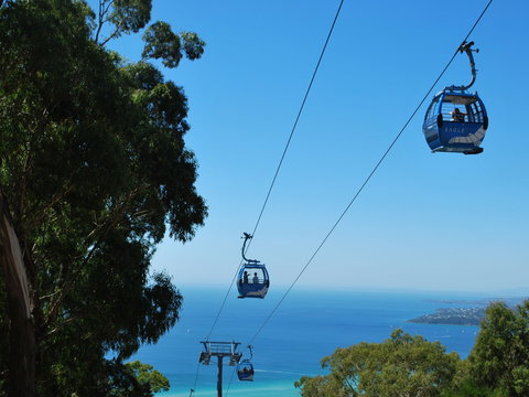 Arthurs Seat Eagle - Accommodation Fremantle 0