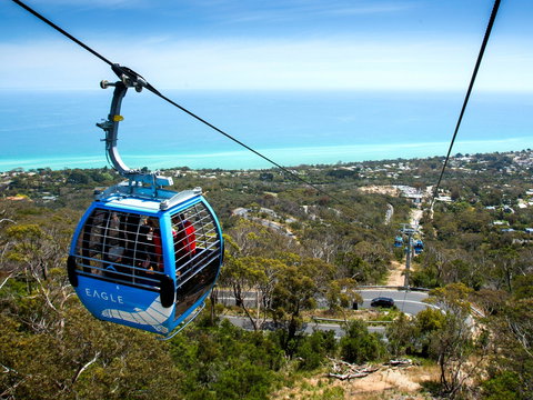 Arthurs Seat Eagle - Accommodation Fremantle 1