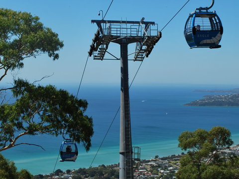 Arthurs Seat Eagle - Accommodation Fremantle 2