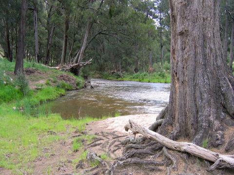 Bangadilly National Park - Accommodation Fremantle 0