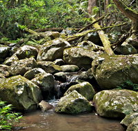Booyong Walking Track - Accommodation Fremantle