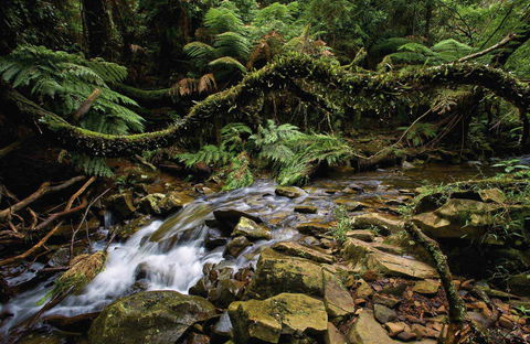 Budderoo National Park - Accommodation Fremantle 0