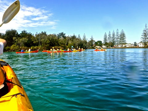 Byron Bay River Nature Kayak Tour - Accommodation Fremantle 0