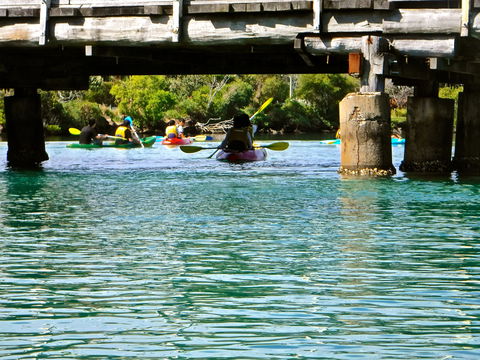 Byron Bay River Nature Kayak Tour - Accommodation Fremantle 1