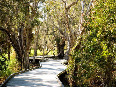 Eagleby Wetlands - Accommodation Fremantle 1