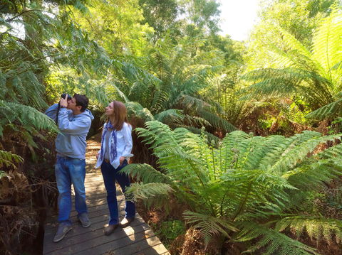 Endeavour Fern Gully Walks - Accommodation Fremantle 0