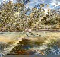 Flea Creek Picnic Area - Accommodation Fremantle
