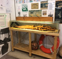 George The Giant Squid Display Wallaroo - Accommodation Fremantle