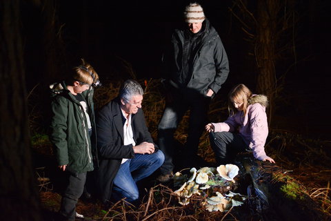 Ghost Mushroom Lane - Accommodation Fremantle 2