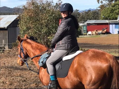 Horse Riding Tasmania - Accommodation Fremantle 1