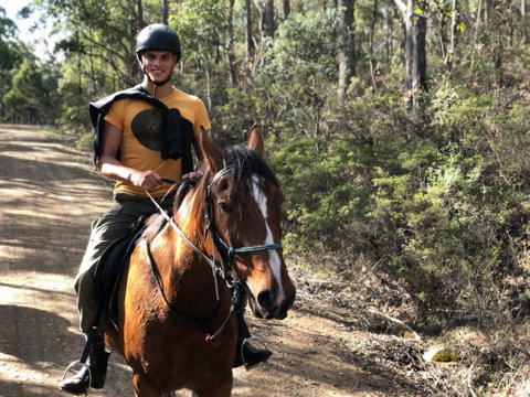 Horse Riding Tasmania - Accommodation Fremantle 2