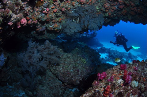 Hutchinson Shoal Dive Site - Accommodation Fremantle 0