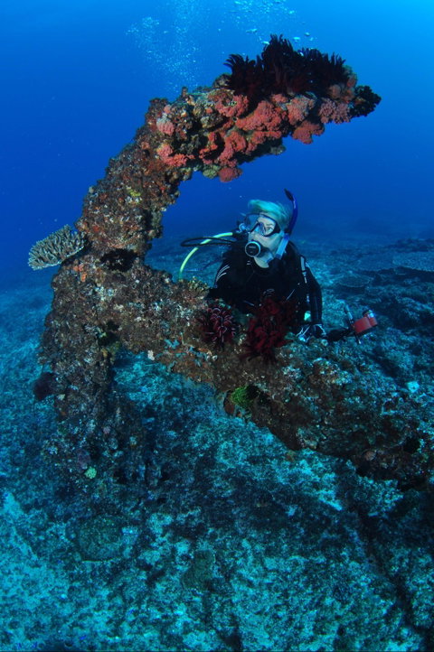Hutchinson Shoal Dive Site - Accommodation Fremantle 1