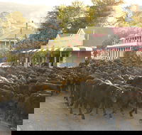 Jugiong - Accommodation Fremantle