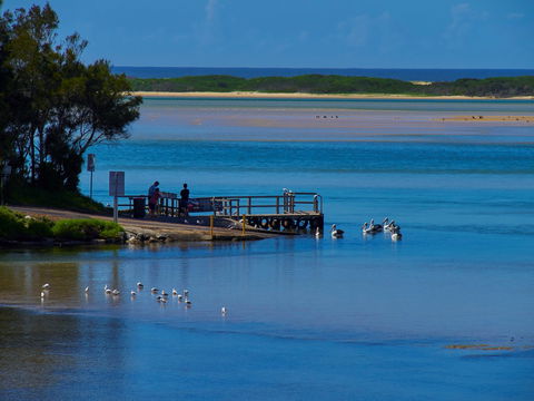 Kayaking Tuross Lake - Accommodation Fremantle 1