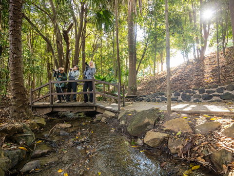 Kholo Gardens Trails - Accommodation Fremantle 1