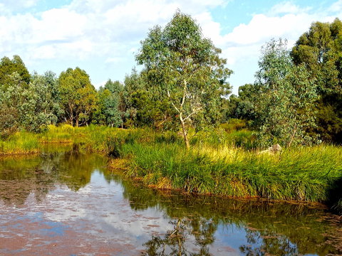 Mansfield Mullum Wetlands - Accommodation Fremantle 0