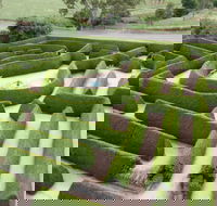 Mintaro Maze - Accommodation Fremantle