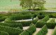 Mintaro Maze - thumb 1