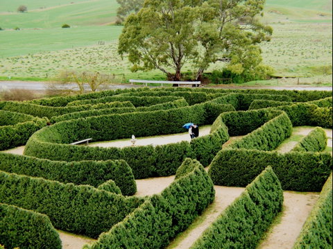 Mintaro Maze - Accommodation Fremantle 1