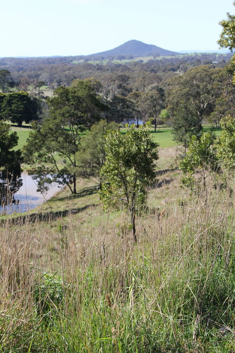 Mt Piper Nature Conservation Reserve - Accommodation Fremantle 1