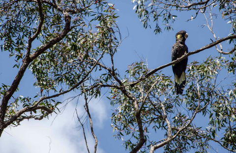 Mummel Gulf National Park - Accommodation Fremantle 0