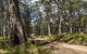 Mummel Gulf National Park - thumb 1