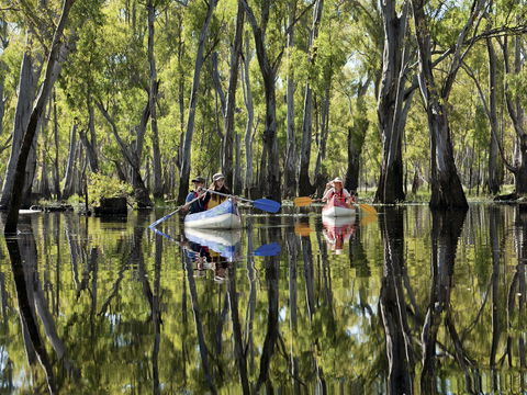 Murray River Canoe Trails - Accommodation Fremantle 0