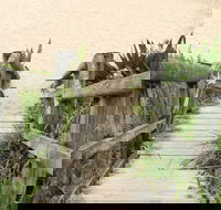 Pebbly Beach to Snake Bay walking track - Accommodation Fremantle