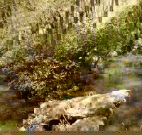 Sandy Creek Track - Accommodation Fremantle
