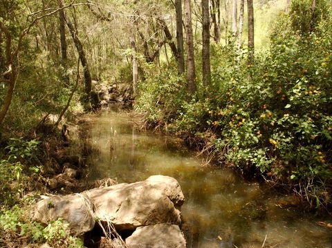 Sandy Creek Track - Accommodation Fremantle 0