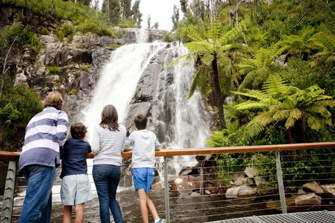 Steavenson Falls - Accommodation Fremantle 0