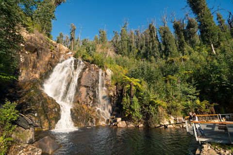 Steavenson Falls - Accommodation Fremantle 1