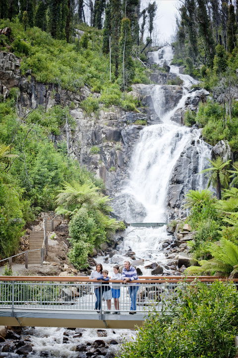 Steavenson Falls - Accommodation Fremantle 2