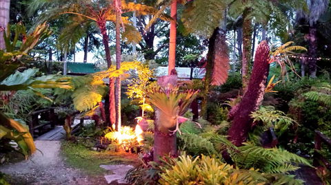 The Fernery At Diamond Waters - Accommodation Fremantle 0